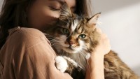 Kedi Sahibi Olmanın Kanıtlanmış Bilimsel Faydaları
