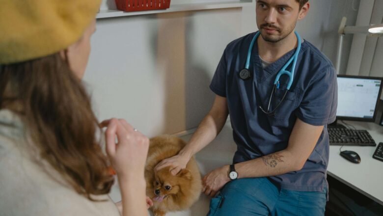  Fikirtepe Veteriner İhtiyacında Panik Yok: GomVet Her Zaman Yanında!