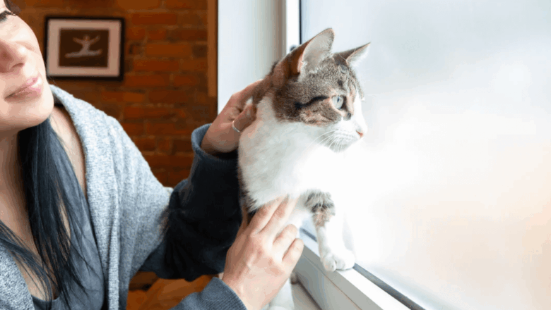  Evcil Hayvan Sahiplenmenin En Doğru Adresi