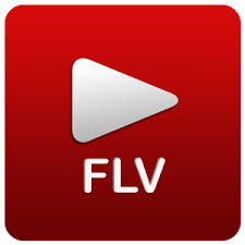 Google Chrome : FLV Video Download Eklentisi
