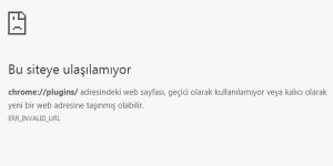 Invalid url. Err_Invalid_URL.