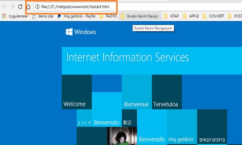 Windows 10 iis kurulumu nasıl yapılır?