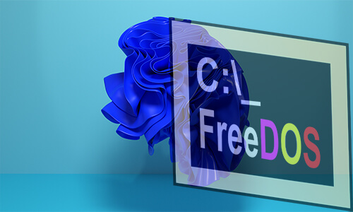 FreeDOS Üzerine Windows 11 Kurulumu: Eski Bilgisayarınıza Yeni Bir Soluk