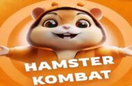 Hamster Kombat Para Nasıl Çekilir